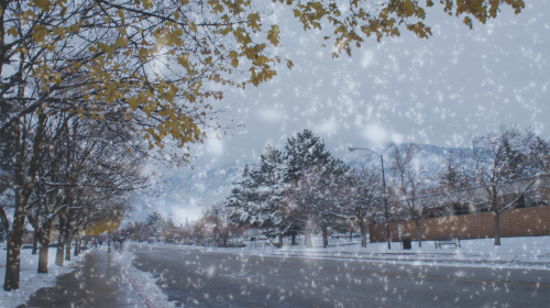 如何为照片Ps下雪效果1