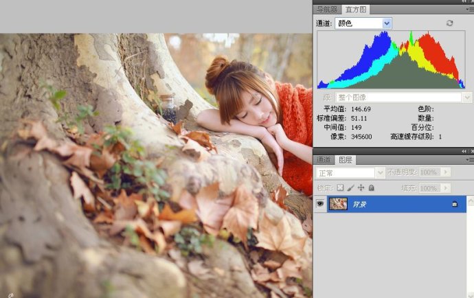 PhotoShop高/中/低调图片的直方图认识基础教程3