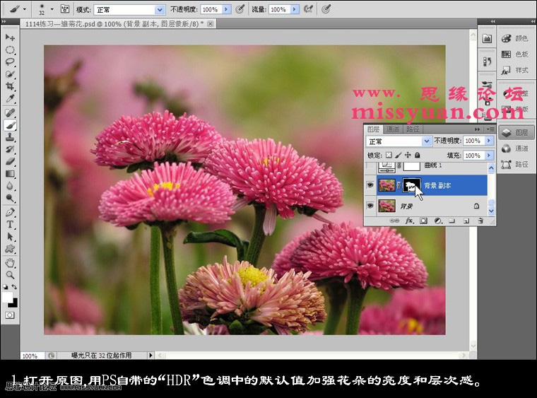 Photoshop快速增强花朵照片的层次感教程3