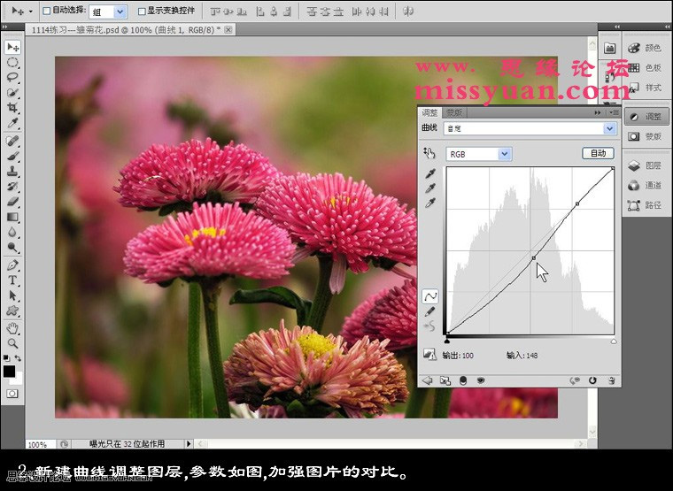 Photoshop快速增强花朵照片的层次感教程4