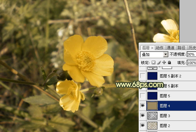 Photoshop调出花朵图片强对比的暗黄色5