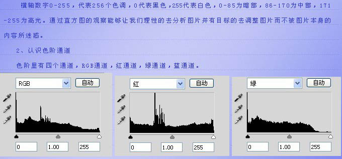 利用色阶快速调出高对比的紫色人物图片4