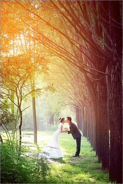 Photoshop给偏暗的树林婚片增加灿烂的阳光色彩2