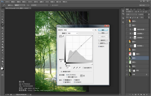 Photoshop给偏暗的树林婚片增加灿烂的阳光色彩6