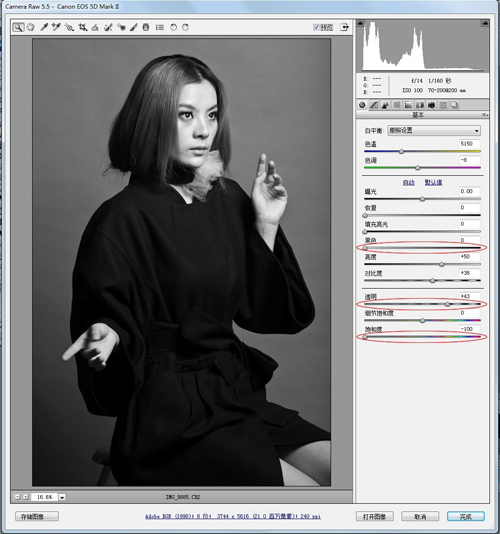 PhotoShop+Camera Raw 6.1调时尚黑白片2