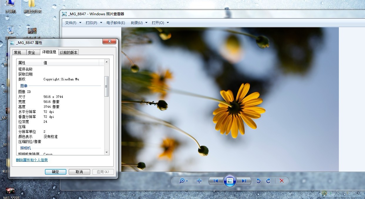 PhotoShop CS6调出清淡日系色雏菊花卉图片效果教程4