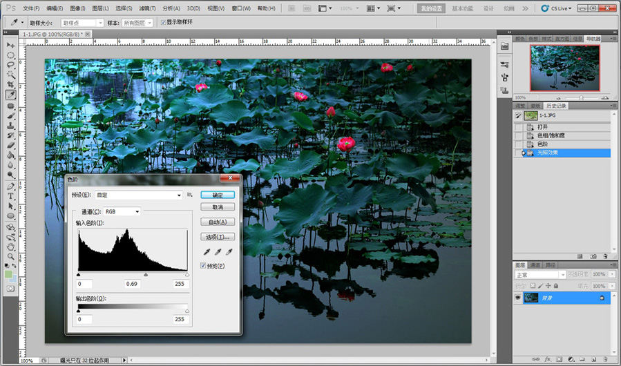 Photoshop CS5调出蓝调夜景荷塘荷花教程8