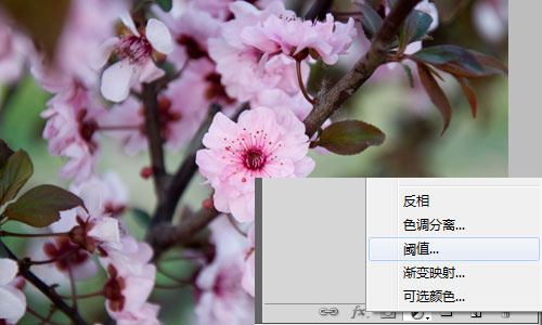 PhotoShop利用曲线修正灰蒙蒙照片白平衡的教程3