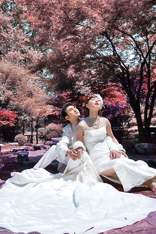 photoshop打造红色秋意唯美婚纱照片教程2