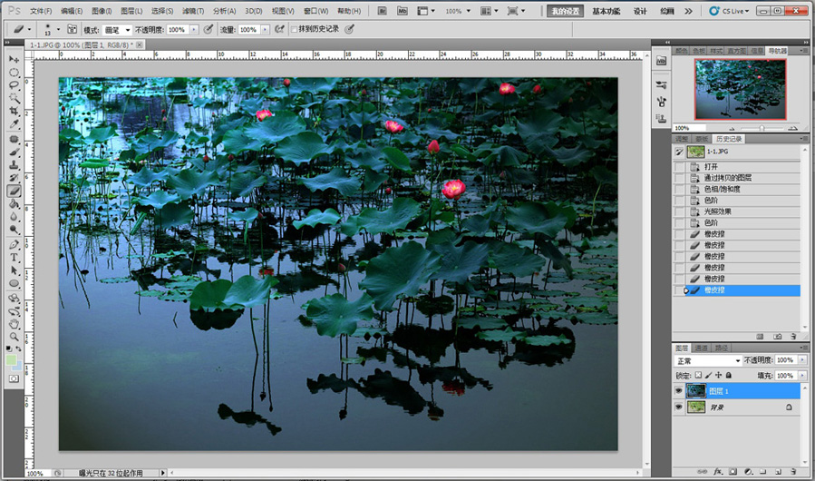 Photoshop CS5调出蓝调夜景荷塘荷花教程3