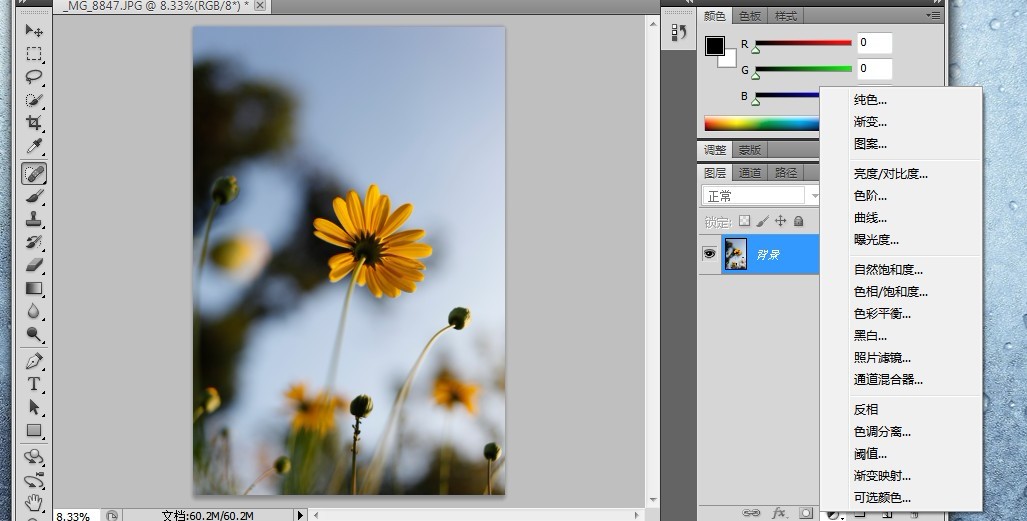 PhotoShop CS6调出清淡日系色雏菊花卉图片效果教程5