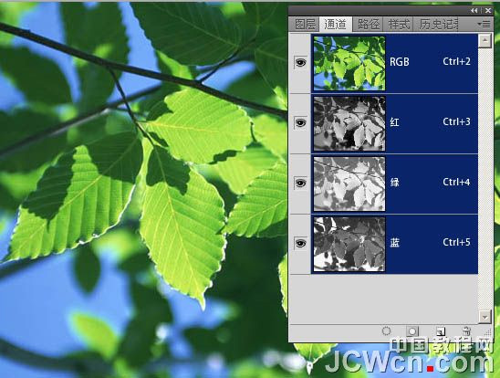 PhotoShop通道功能将绿叶变黄叶效果教程3