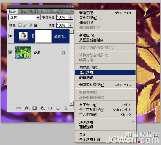 PhotoShop通道功能将绿叶变黄叶效果教程8