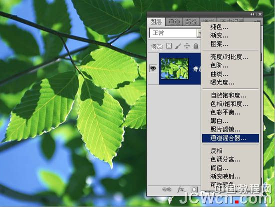 PhotoShop通道功能将绿叶变黄叶效果教程4