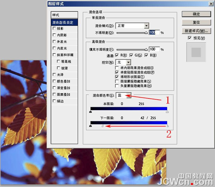 PhotoShop通道功能将绿叶变黄叶效果教程9