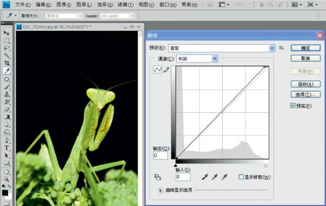 PS调色教程 反相打造翡翠绿色螳螂5