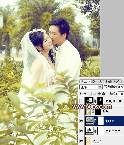 Photoshop给树林婚片加上柔和的古典黄绿色21