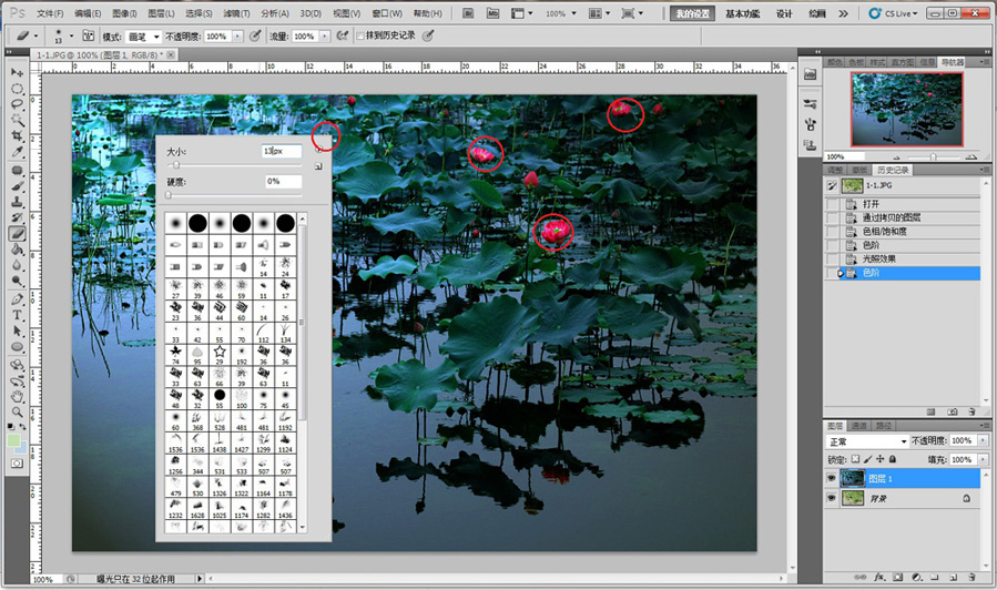 Photoshop CS5调出蓝调夜景荷塘荷花教程9