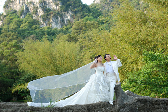 调出竹林婚片粉嫩的黄青色1