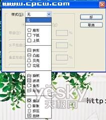 用PS的字体封套工具给照片添加有趣的文字特效5