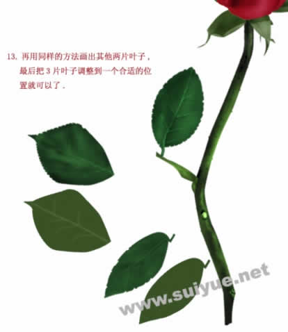 PS鼠绘娇艳玫瑰花14