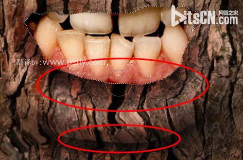 PS合成恐怖效果的树皮人脸效果教程19