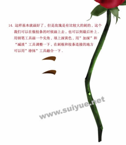 PS鼠绘娇艳玫瑰花15