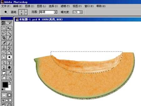 photoshop鼠绘哈蜜瓜教程12