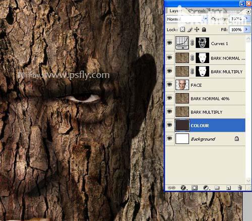 PS合成恐怖效果的树皮人脸效果教程23