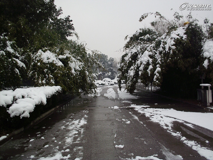 PS绘制梦幻冰雪童话世界效果2