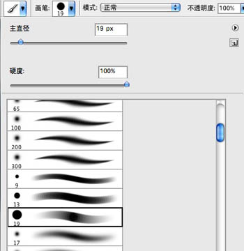 PS结合数位板鼠绘漂亮的羽毛公主2