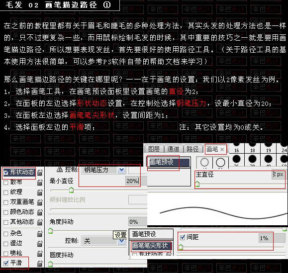 利用PS路径和画笔画出飘逸自然的发丝2