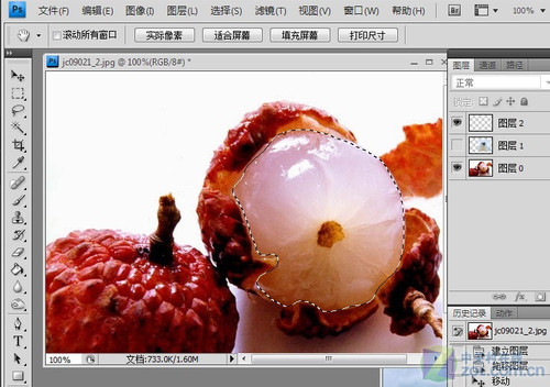 Photoshop合成可爱海豹型荔枝4