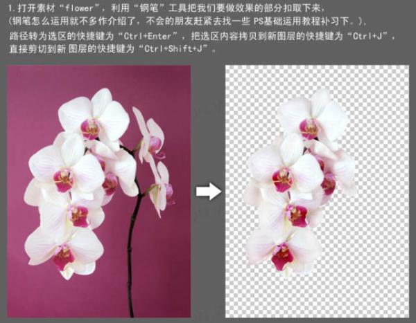 ps照片合成-诱人牛奶花朵3