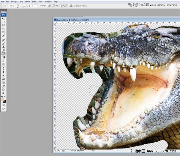 Photoshop创意合成的长着鳄鱼头的青蛙5