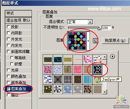 利用PS笔刷制作个性非主流照片7