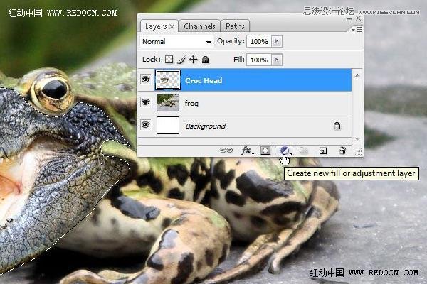Photoshop创意合成的长着鳄鱼头的青蛙10
