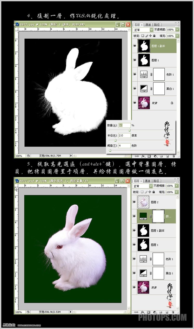 用Photoshop的黑白选项抠图7