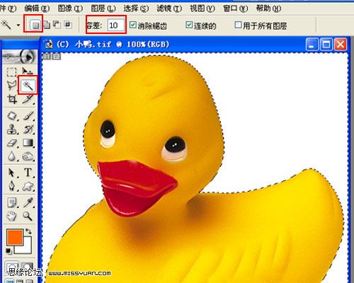 Photoshop抠图套索工具和魔术棒工具篇6