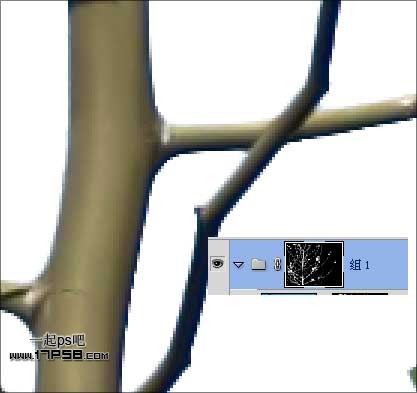 PS抠图教程 通过计算通道抠出复杂的树枝16
