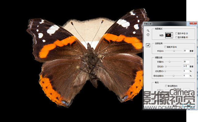 PhotoShop CS5合成陈列于画框里的蝴蝶标本教程4