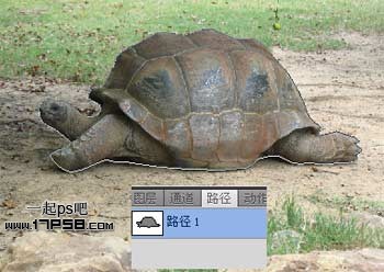 PS设计制作乌龟壳上的村庄环保宣传海报2