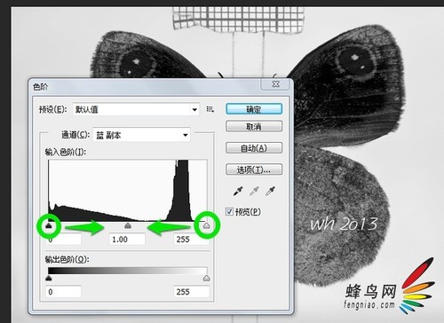 标本为例教你通道蒙版精细抠图4