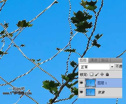 PS抠图教程 通过计算通道抠出复杂的树枝12