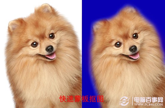 Photoshop抠图方法大全9