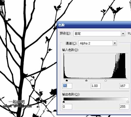 PS抠图教程 通过计算通道抠出复杂的树枝10