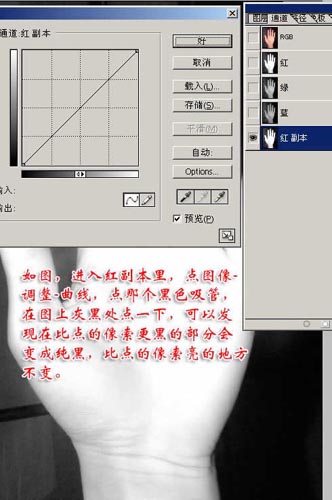 ps实例讲解通道抠图法3