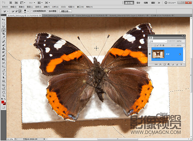 PhotoShop CS5合成陈列于画框里的蝴蝶标本教程3