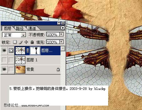 PS抠图：图层混合的方法换蜻蜓背景的教程6
