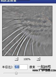 photoshop用滤镜工具提升猫咪图片的清晰度教程3